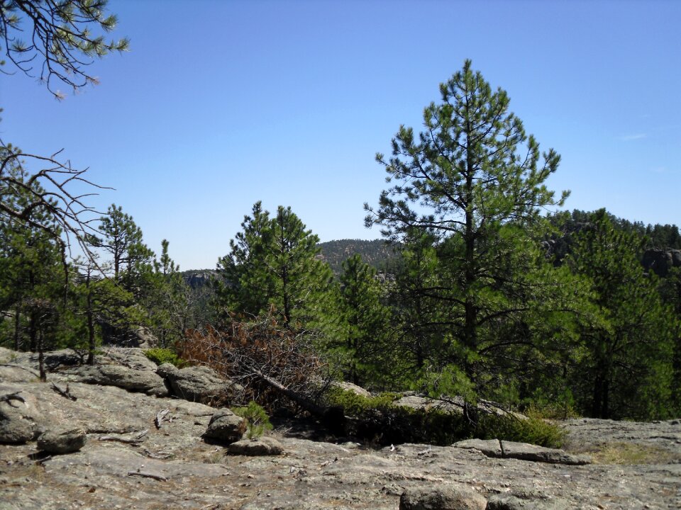 Black hills south dakota