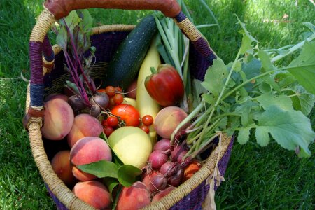 Produce fresh vegetables photo