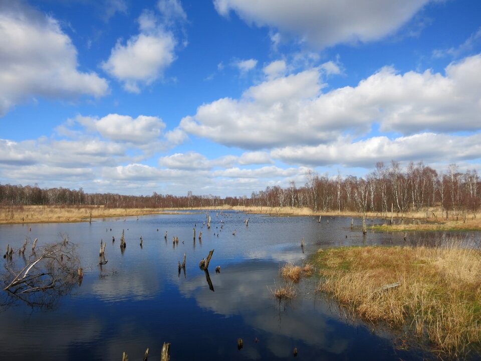 Nature reserve water swamp