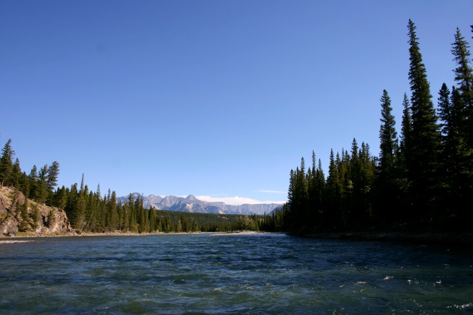 Lake forest mountain