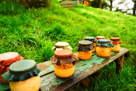 Hobbit new zealand Free photos