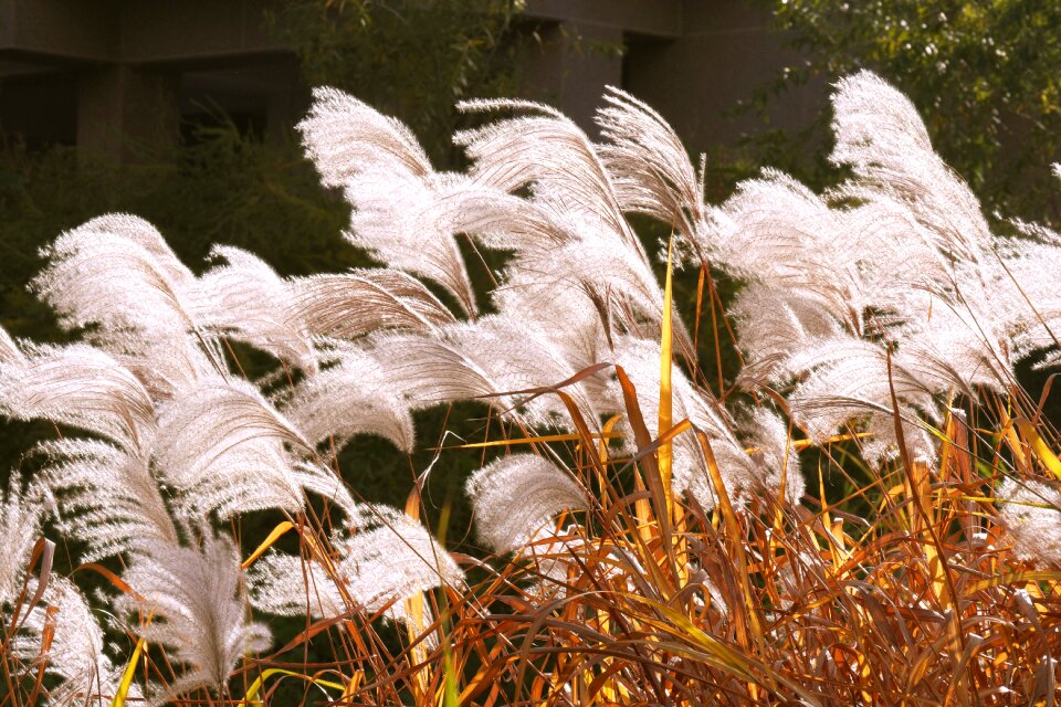 Nature in autumn autumn