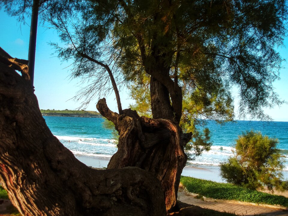 Sunset horizon beach photo