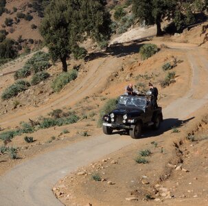 Desert group expedition