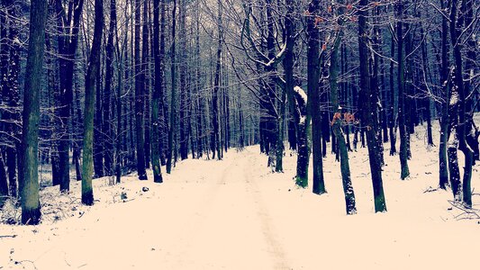 Snow poland rumia