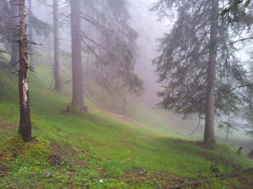 Nature mountain world morning