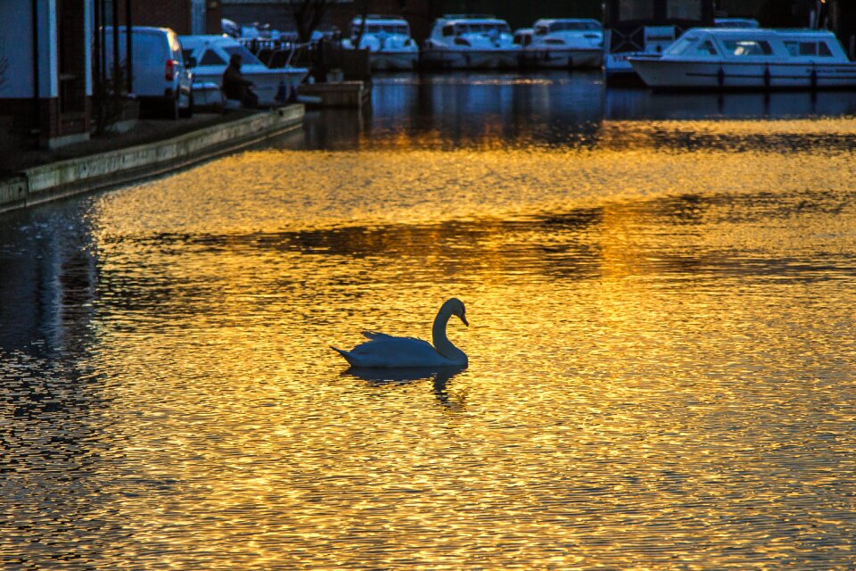 Water city sunset