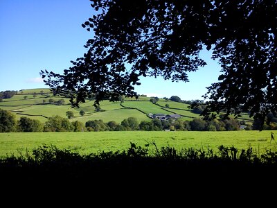 Nature england yarty valley