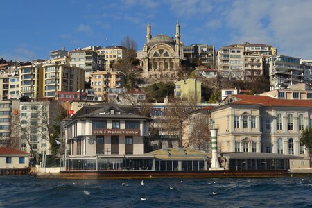 Strait sea turkey