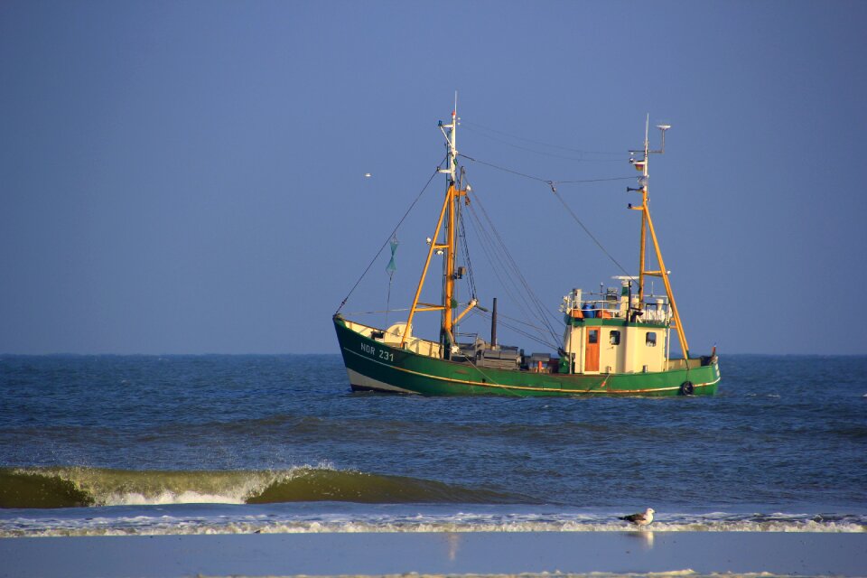 Fishing sea coast