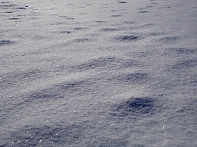 Frosty light winter