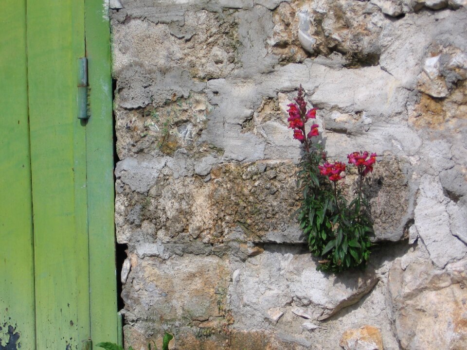 Stone wall outdoor