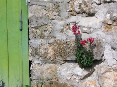 Stone wall outdoor