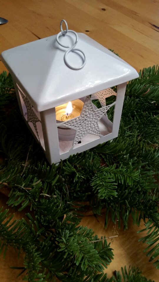 Branch fir decoration
