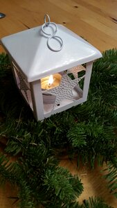 Branch fir decoration
