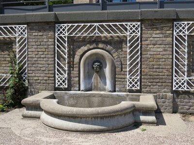 Cologne architecture lion head photo