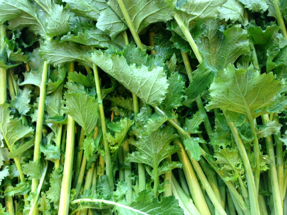 Vegan vegetables summer