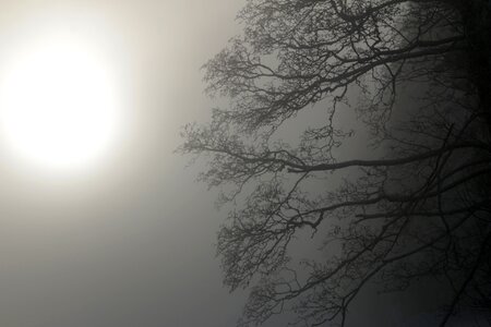 Nature light shadow