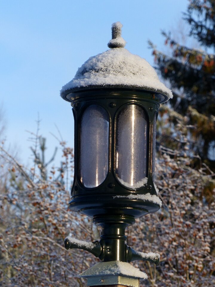 Frost sky tree