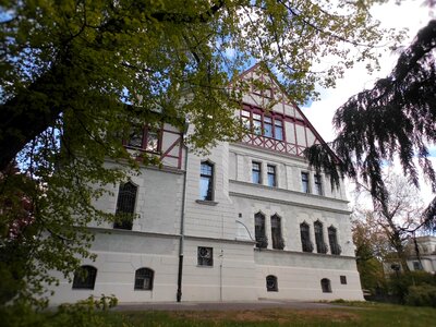 Poland tree garden photo