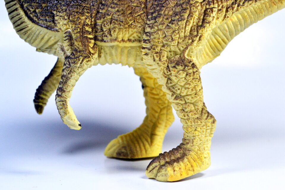 Legs animal jurassic