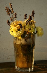 Still life dry yellow flower photo
