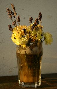 Still life dry yellow flower