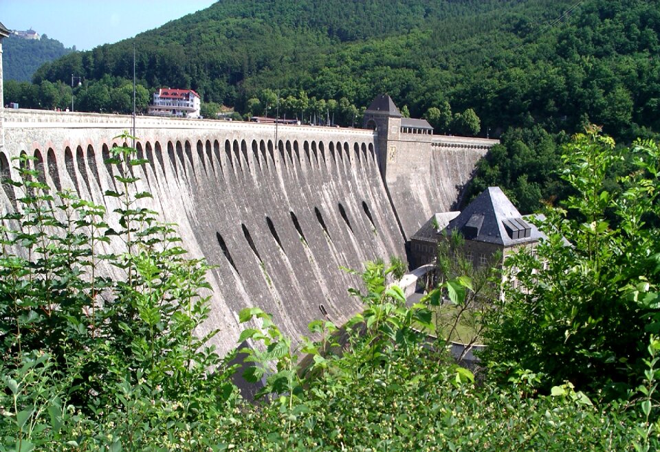 Concrete water trees