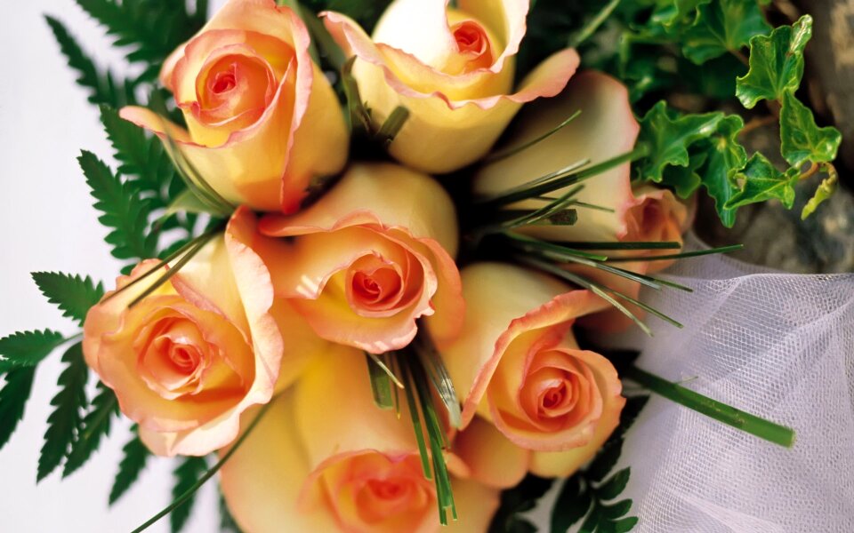 Bouquet roses yellow