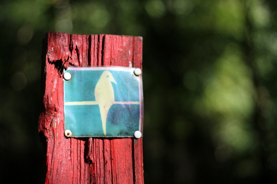 Brown nature reserve forest