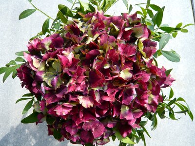 Bouquet decorative flower photo