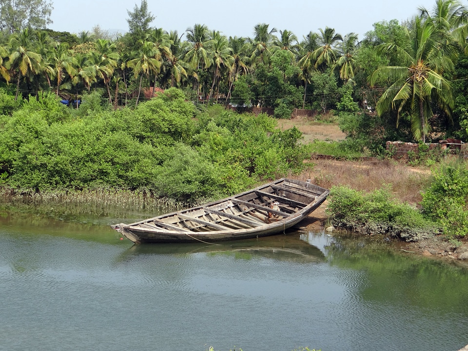 India landscape wilderness