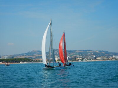 Mattia them alba adriatica hobbie cat