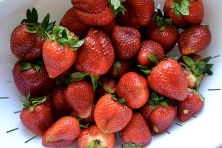 Organic summer healthy