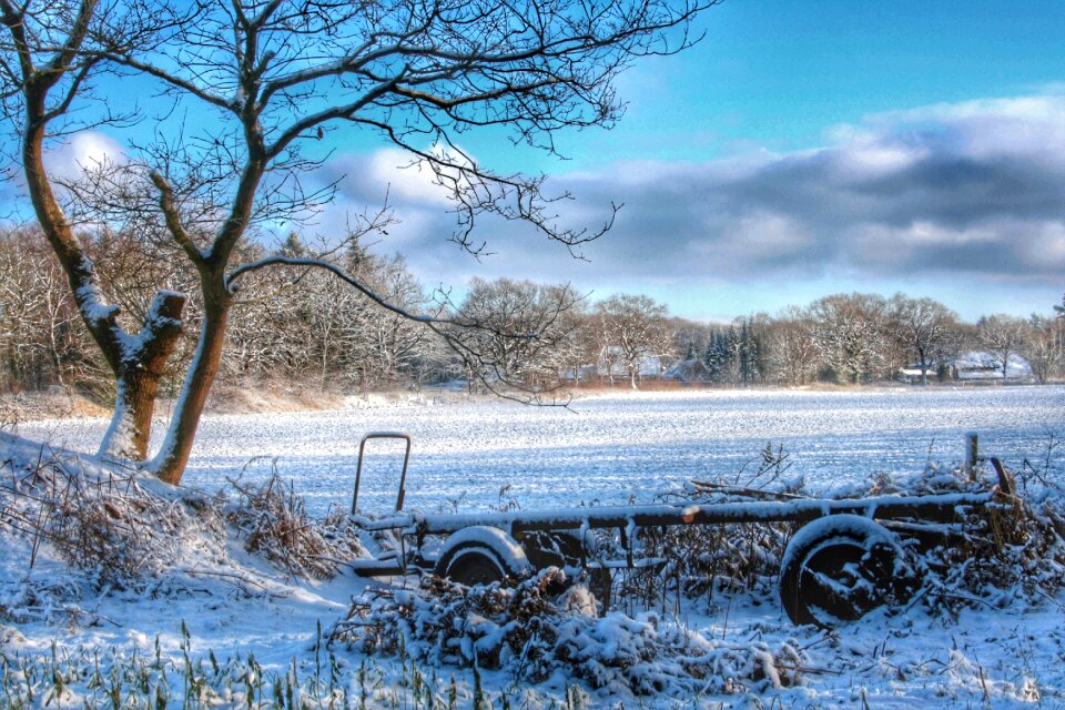 Landscape wintry snowy