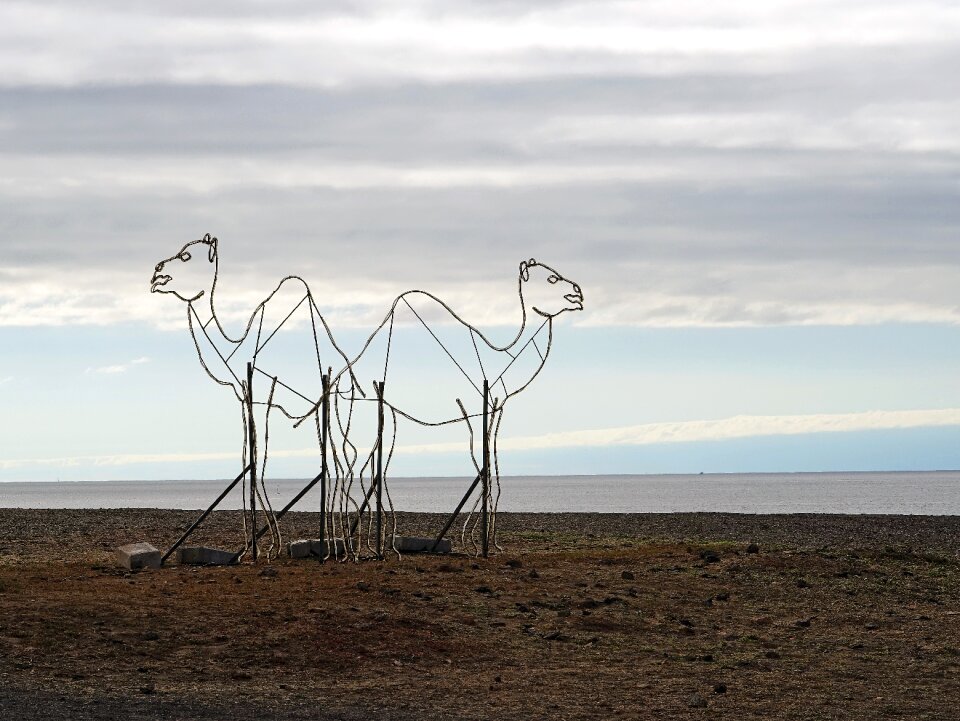 Dromedary sculpture lanzarote