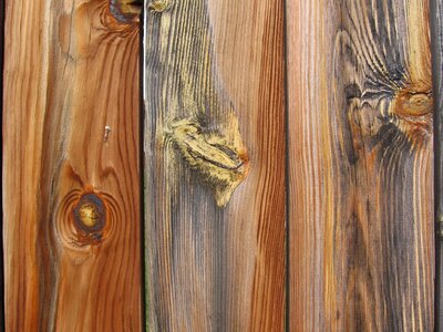 Texture wooden texture
