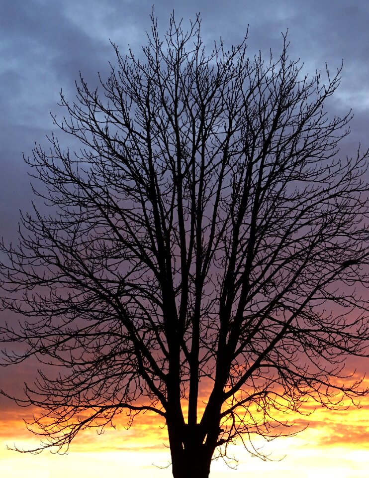 Clouds afterglow branches