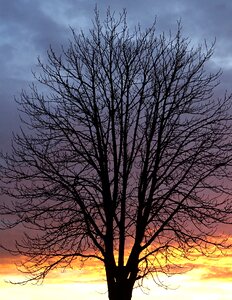 Clouds afterglow branches