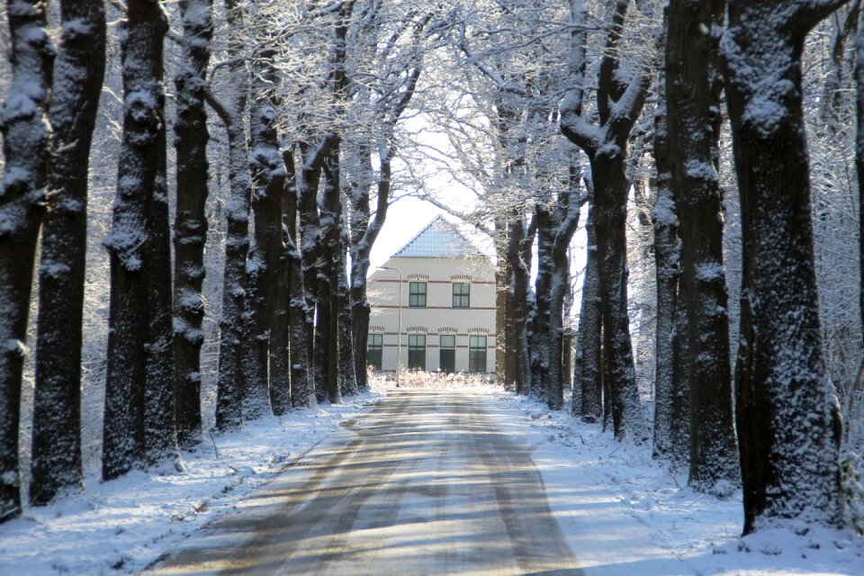 White farm rheebruggen
