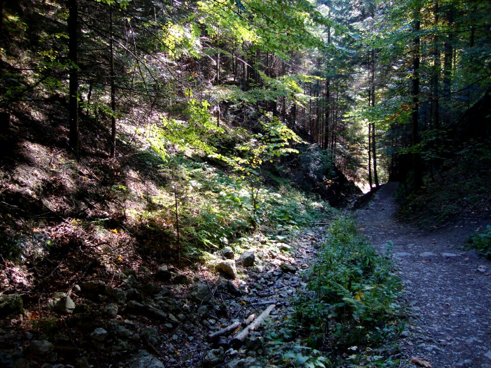 The stones hiking trails landscape