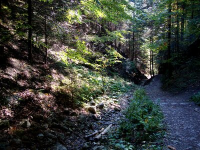 The stones hiking trails landscape photo