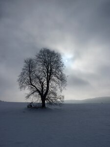 Winter backlighting cold