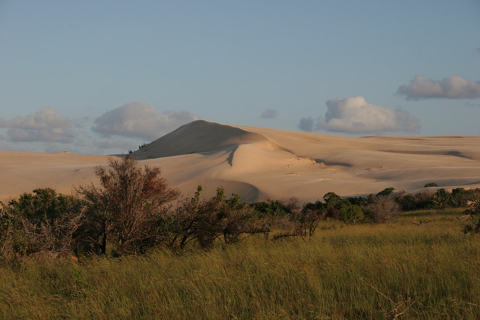 Island mozambique national