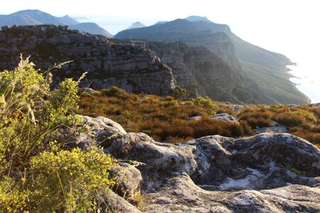 Peak landscape shrub photo