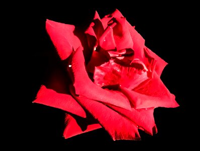 Pink romantic