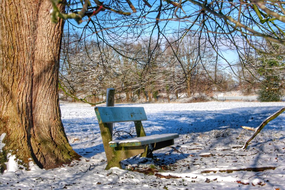 Winter wintry snowy