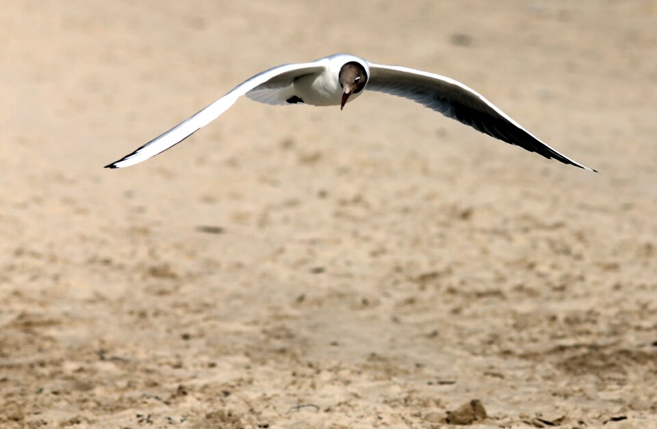 Approach beach ease