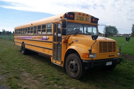 Bus school yellow photo