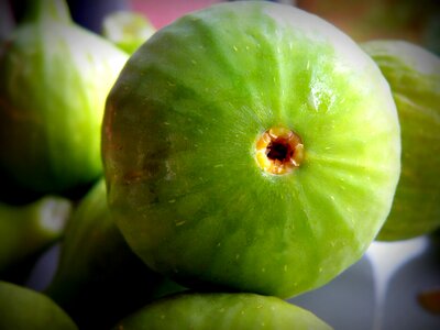 Food fresh natural